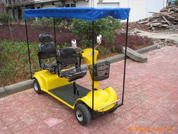 永康市踏雪無(wú)痕休閑用品有限公司 電動(dòng)觀光車產(chǎn)品系列，助力休閑觀光活動(dòng)新體驗(yàn)